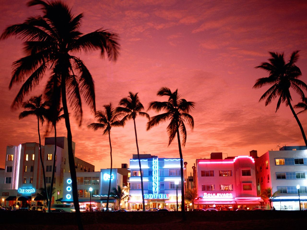 O Que Fazer em Miami I Melhores Dicas de Compra e Turismo